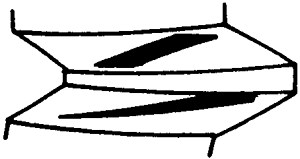 FX݆͜pX݆gZӹ݆X|zԇ