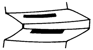 FX݆͜pX݆gZӹ݆X|zԇ
